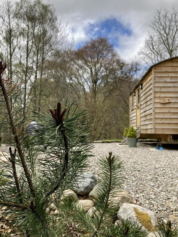 Highland Bear Lodge & Luxury Bear Huts Drumnadrochit Exterior foto