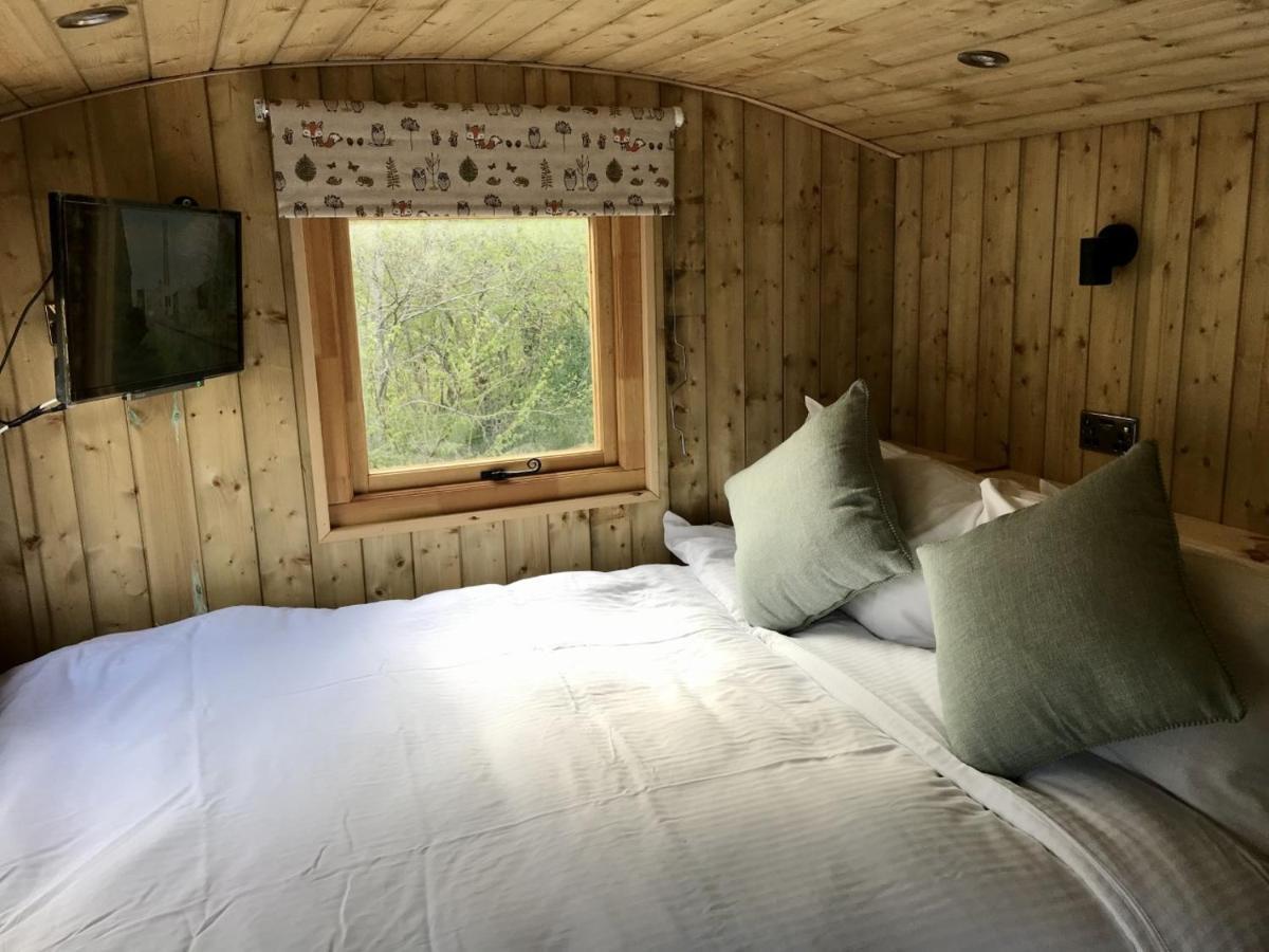 Highland Bear Lodge & Luxury Bear Huts Drumnadrochit Exterior foto